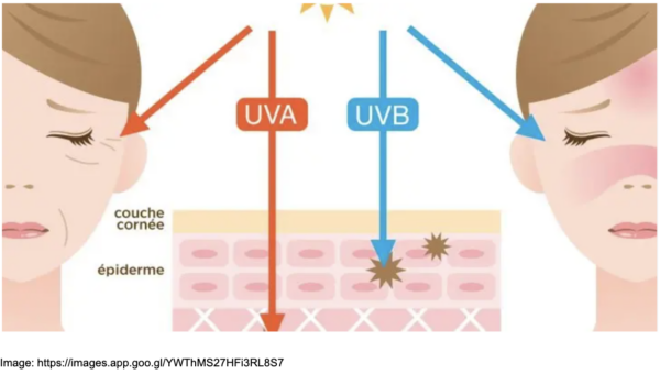 Image of the impact of UVA and UVB rays on skin.